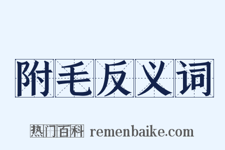 附毛反义词是什么意思的图片